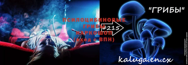apvp Зеленодольск